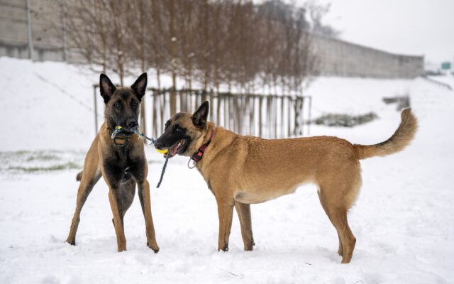 Oris ze starszą siostrą